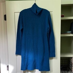 Everlane cobalt blue turtleneck sweater dress